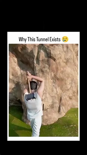 SYCO on Instagram: "🎬What did it cost... Fun Fact: Kiwi! (2006) The viral animated short Kiwi! was actually created by student filmmaker Dony Permedi as his Master's thesis project.🐦💔 The 3-minute film about a flightless bird chasing its dream touched millions worldwide and became one of the first YouTube shorts to go viral in the platform's early days.🌍✨ ⚠️Disclaimer: I do not own the rights to the clips or music used. All content belongs to their respective owners. No copyright infringemen