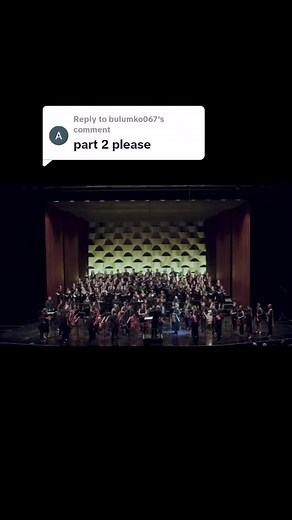 Replying to @bulumko067 #bochabelastringensemble #SAMA28 #fyp #xyzbca #austria🇦🇹 #bregenz #viral #southafrica #southafricatiktok🇿🇦 #europe