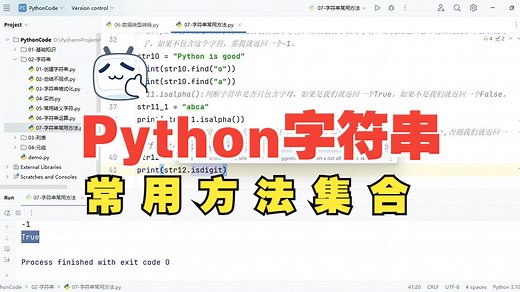 12.Python字符串常用方法：isdigit()