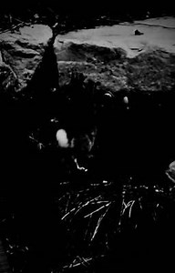 Oneshots - Harley Quinn x Male Reader