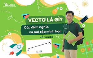 Vecto là gì? Các định nghĩa và bài tập minh hoạ về vectơ