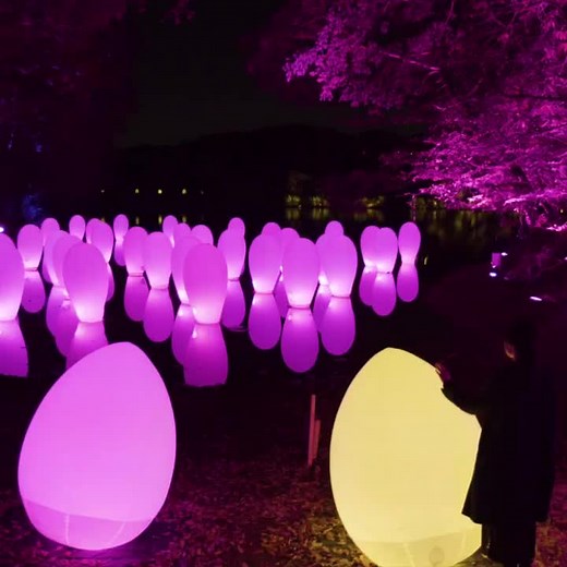 TikTokでteamLab / チームラボさんをチェック！