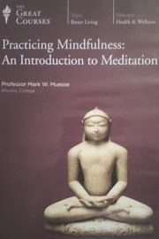 Watch Practicing Mindfulness: An Introduction to Meditation Season 1 Episode 9 - Mind: Working with Thoughts