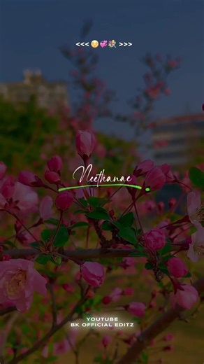 🙈 Nee Poona Yaradi Enakku 💐Lyric Whatsapp status #lyrics_whatsapp_status #trending #lovesong #lyrics