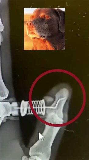 Ne želiš se ubosti u palac 💉🤯