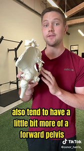 Understanding the Pooch Belly: Causes and Solutions