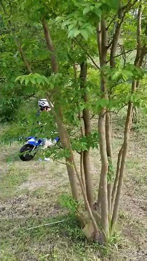 子供用電動バイク　オフロード富士山カート・MX350