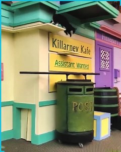 Amazing animals show | Work of Art