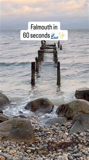 A Magical Minute in Cape Cod 🌅🐾 (Falmouth Highlights)