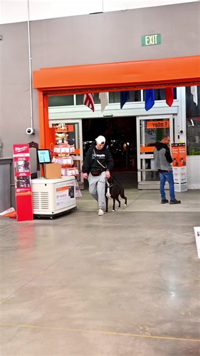 Stop Dog Jumping with Clicker Training | Counter Conditioning Explained