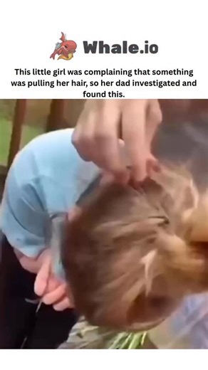 Laugh_leakkk on Instagram: "- The video captures a father gently extracting a striped chipmunk from his young daughter’s tangled hair after she reports feeling pulls, resolving the issue without harm and ending with the animal safely in hand. - Posted on December 22, 2025, by @Be_Believing, whose bio promotes positivity, the clip amassed over 2 million views and 9,800 likes in a day, sparking viral engagement on unexpected pet-like wildlife moments. - User replies blend humor and curiosity, corr