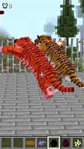 Tiger vs Tiger Who Wins #minecraft #shorts