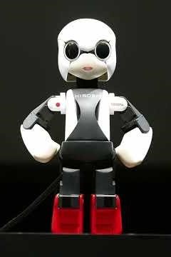 Top 10 Weirdest Robots Ever Created