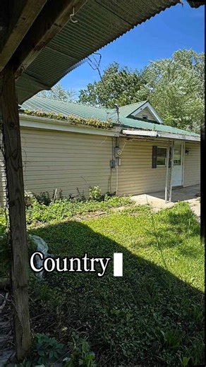 13K views · 167 reactions | Seriously... Would you buy land like this For just $39,900 ? | Forgotten ,Abandoned | Facebook