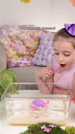 Meet Our Pet Turtle! 🐢💚