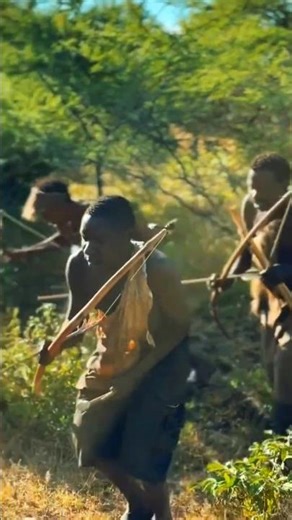 Bushman Chaba’s Traditional Bow Hunting Leadership 🏹 #bushman #hunting #traditionalhunting