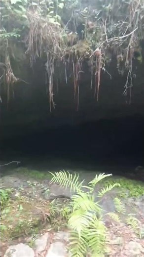 Gopher Hole Cave dug out by a Gaint Turtle