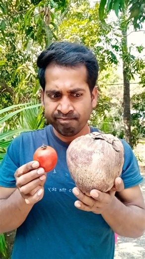 Little Brother 😵‍💫🍅🍫🍭😆 part 04 #funny