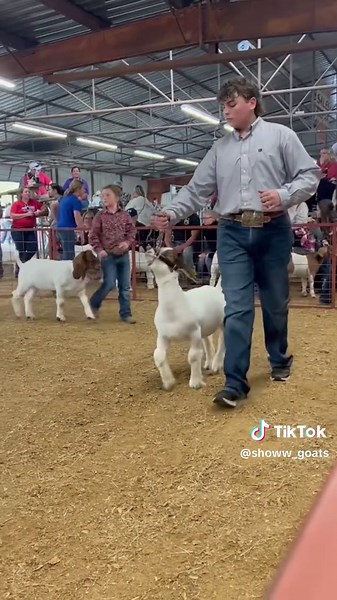 still got reserve overall too💀 #showgoatsoftiktok #showgoats #showgoatseason #goatsoftiktok