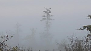 Garrett County MD September 1, 2025 ~Morning Sunrise Timelapse Morning Views | Allegheny Mountains Weather