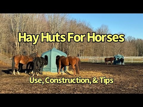 Comprehensive Guide Using Hay Huts for Horses: Use, Benefits, Construction, and Tips