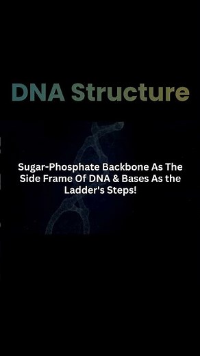 DNA Structure Made Easy! Crack NEET! | Dr. Rajeev Sir