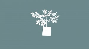 Corpse Plant Leaf Stage V1 - 3D model by sierrarose2147