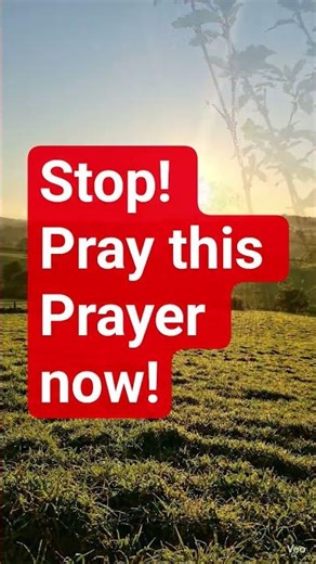 Stop and pray this prayer now! #prayer