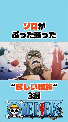 ㊗️50万再生 ゾロがぶった斬った”珍しい種族"3選 #onepiece #ワンピース #アニメ #shorts
