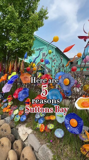 5 Reasons why I find Suttons Bay one of the best towns to visit in the northern lower peninsula. Which towns are your favorite? #suttonsbay #michigan #michigangetaways | From Michigan with Love Blog