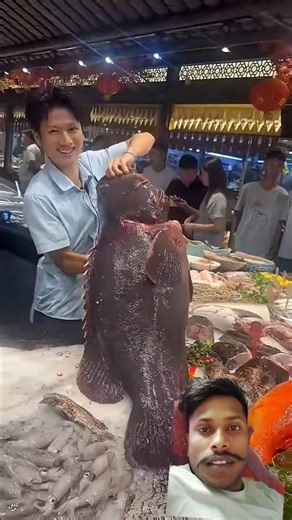 Deadly Stone Fish: The Most Venomous Fish in the World | Amazing Facts #worldfishingvideos9127