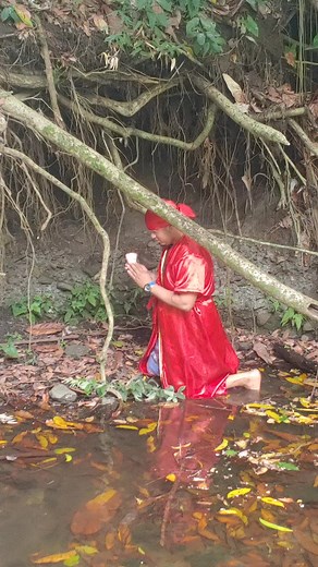 682K views · 42K reactions | #viralvideoシ #estadosunidos #miami #Floridas #newyork #chicago #california #boston #texas | Emmanuel Santana Mota | Facebook