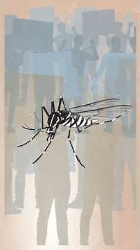 The war on the tiger mosquito