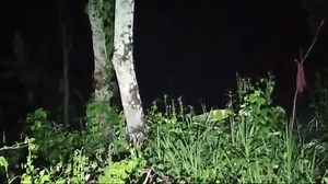 Video Klip Live Streaming Kidung Alam ............ | Destinasi Kebenaran