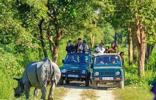 Wildlife Sanctuaries Of Assam: Rich Biodiversity Of The Wildlife Sanctuaries Of Assam