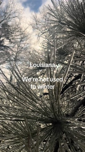 #louisana #icestorm2026 #winter #weather
