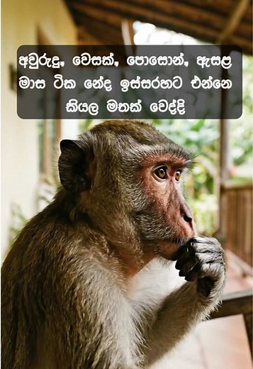 🙉