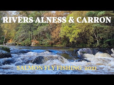 SALMON FISHING | The Rivers Alness & Carron | Scotland - 2021