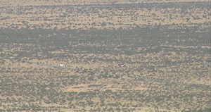 5 marines dead in MV-22B Osprey crash near Glamis, including one Harlem graduate