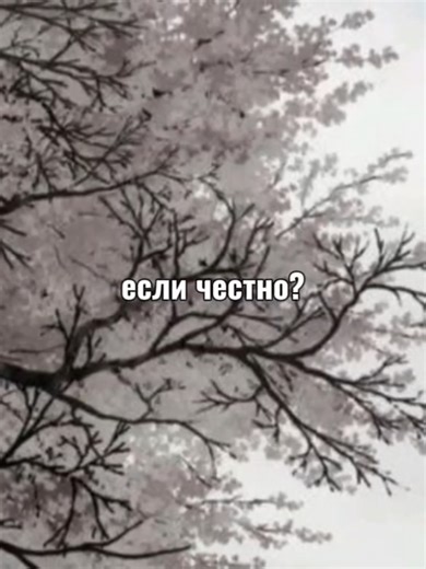 pyrokinesis-цветами радуги #песнистекстом #пирокинезис #pyrokinesis #rge #or #рек #репост #липсинг Pyrokinesis (Андрей Игоревич Федорович, род. 16 декабря 1995 года) — популярный российский рэп-исполнитель и поэт, известный сложной, мрачной концептуальной лирикой. Его музыка, сочетающая альтернативный рэп с элементами инди и эмокора, часто затрагивает темы философии, экзистенциализма и внутренних конфликтов. Артист начал карьеру с баттл-рэпа и активно выпускает полноформатные альбомы.