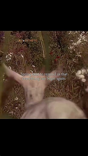 sry for being inactive for soo many days I'm died pray for me #jkxaesthetic #aestheic #1millionviews