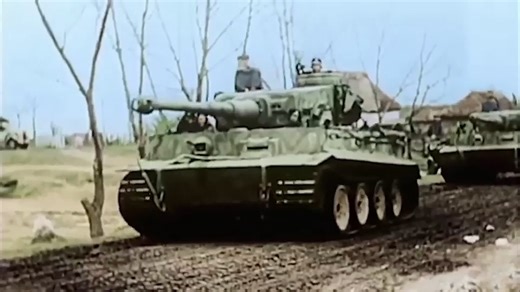 The tiger tank: Was it worth the cost?