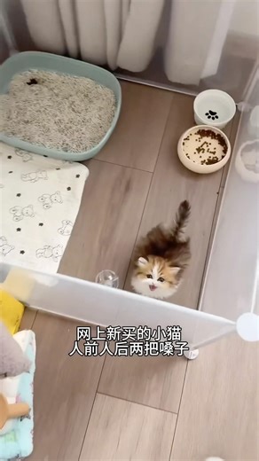 New Cool Tool!🥰 New Viral Gadgets, Smart Kichen Appliances, Tolls, Utensils, HomeCleaning #shorts