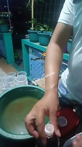 Make your Own DIY Hydroponic System at home. Planting Chinese kangkong #homegarden #tips | Ador Salceda