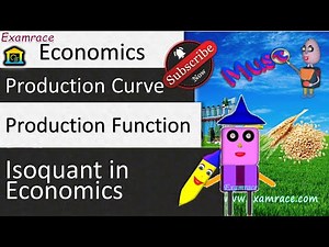 Long Run Production Function: Fundamentals of Economics