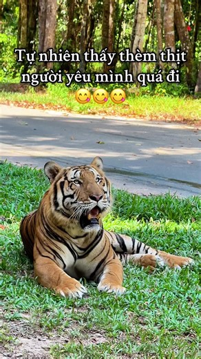 Khám Phá Vinpearl Safari Phú Quốc