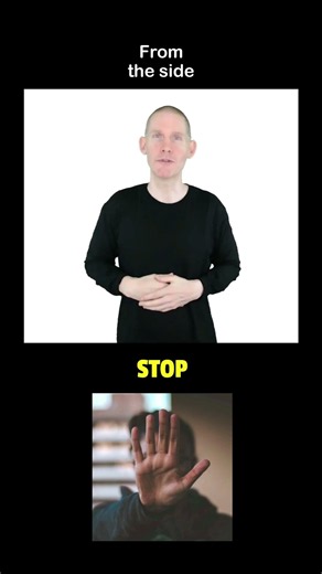 ❤️ How to sign STOP in ASL.