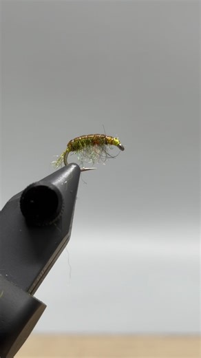 Martin Aceto on Instagram: "Tying a Simple Scud Recipe: Hook: Standard emerger hook, sizes 12-18. Thread: 70 Denier or 8/0. Body and legs: Sow Scud dubbing, olive. Rib: Ultra Wire, small, gold. Back: Thin Skin. Tie this pattern in different color combinations to match the scuds in your streams. #flyfishing #flytying #flytyingjunkie #fishing #scud #flyfishinglife"