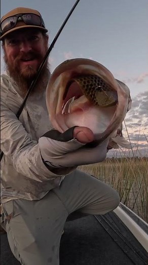 🤫 You Overlooked This Sneaky Bait And It Catches BIG Bass!! 🤫