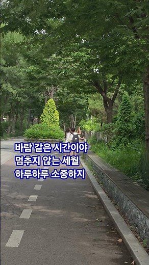 #임영웅 #소풍같은 인생 #추가열 원곡 #영웅시대
